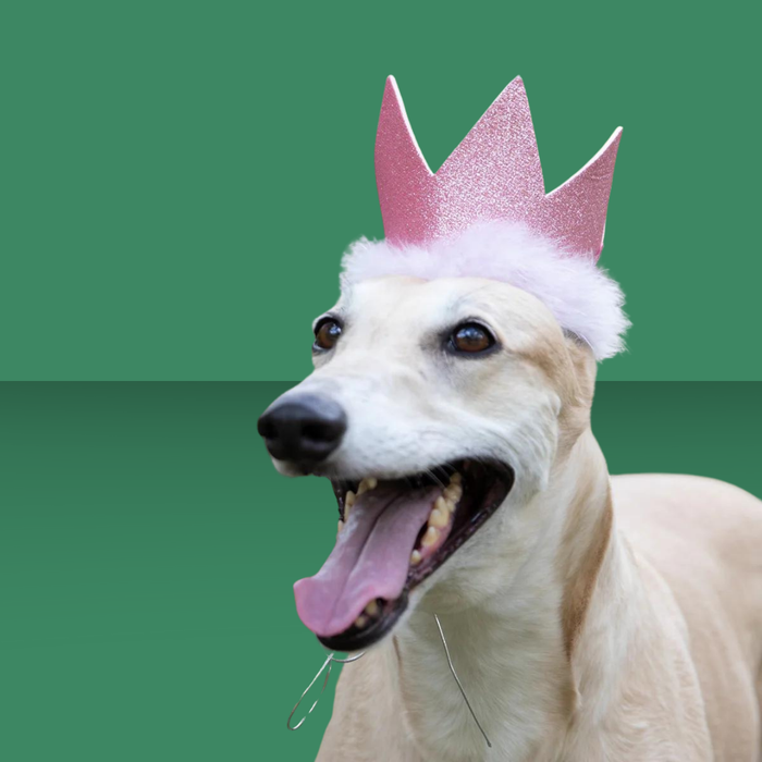 Huxley & Kent Party Crown Pink L