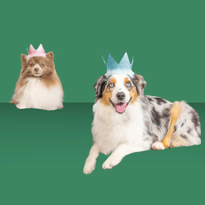 Huxley & Kent Party Crown Pink L