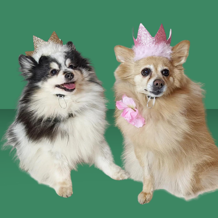 Huxley & Kent Party Crown Pink S