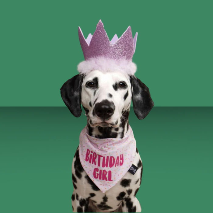 Huxley & Kent Party Crown Purple L