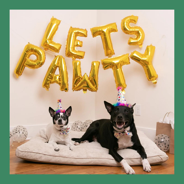 Huxley & Kent Party Hat Superstars L