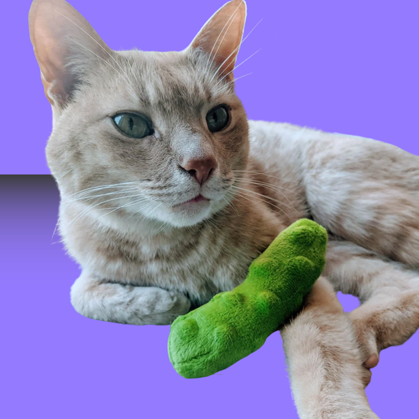 Huxley & Kent Pickle