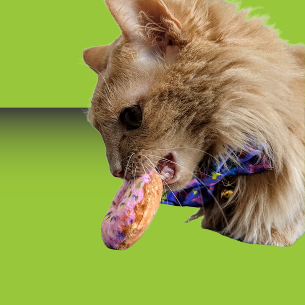 Huxley & Kent Strawberry Donut