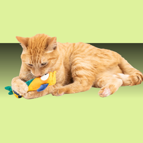 Huxley & Kent Toucan Nipper