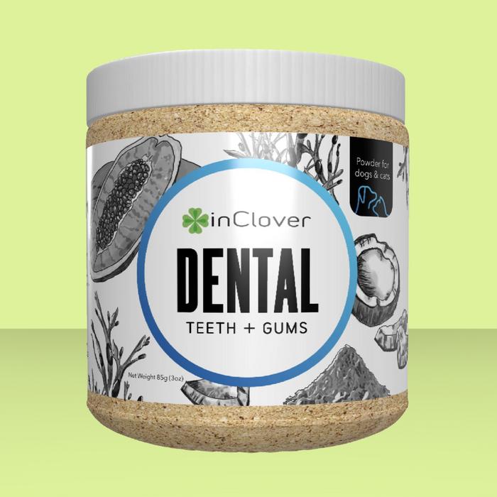 InClover BioBrilliant Dental Powder 100g
