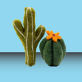 Karma Cat Succulent 2 Pack