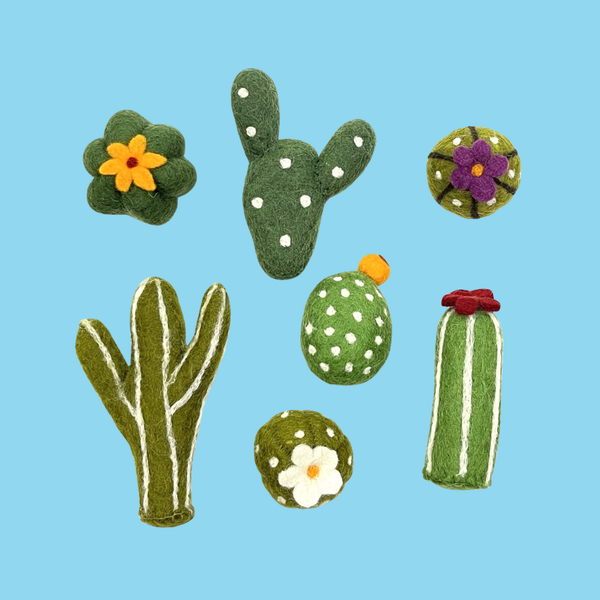 Karma Cat Succulent 2 Pack