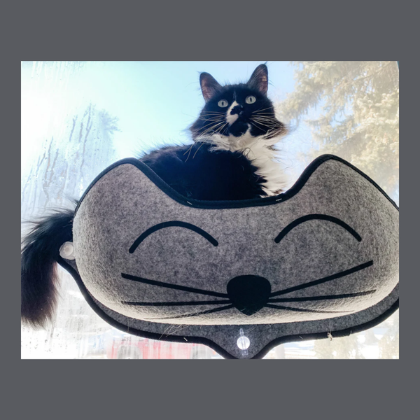 K&H EZ Mount Kitty Face Window Bed