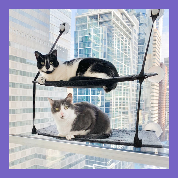K&H EZ Mount Kitty Sill Double Stack