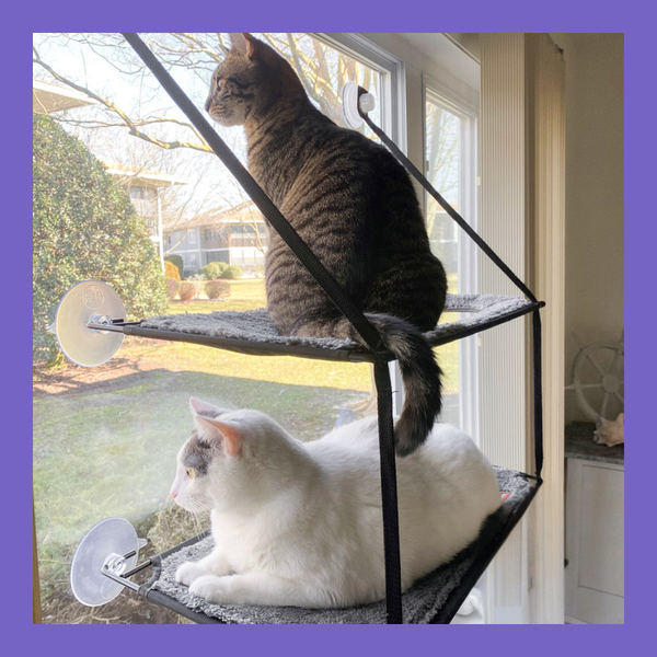 K&H EZ Mount Kitty Sill Double Stack