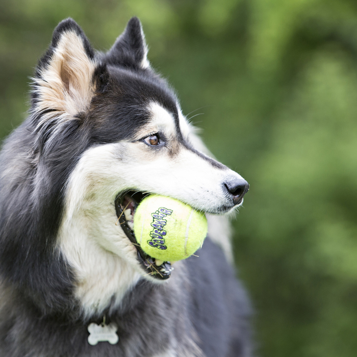 Kong Air Tennis Ball M 3 Pack