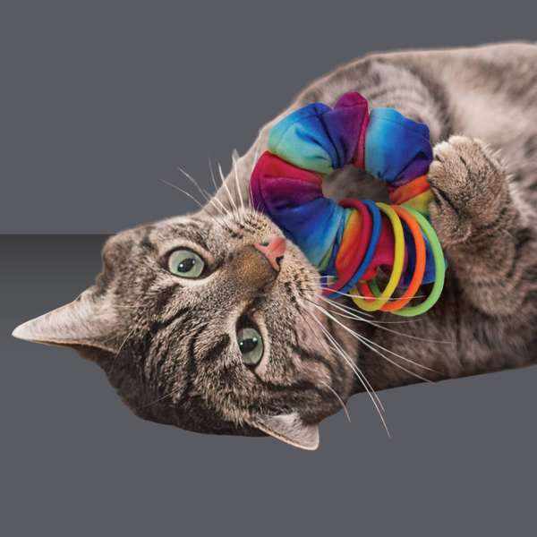 Kong Cat Active Scrunchie
