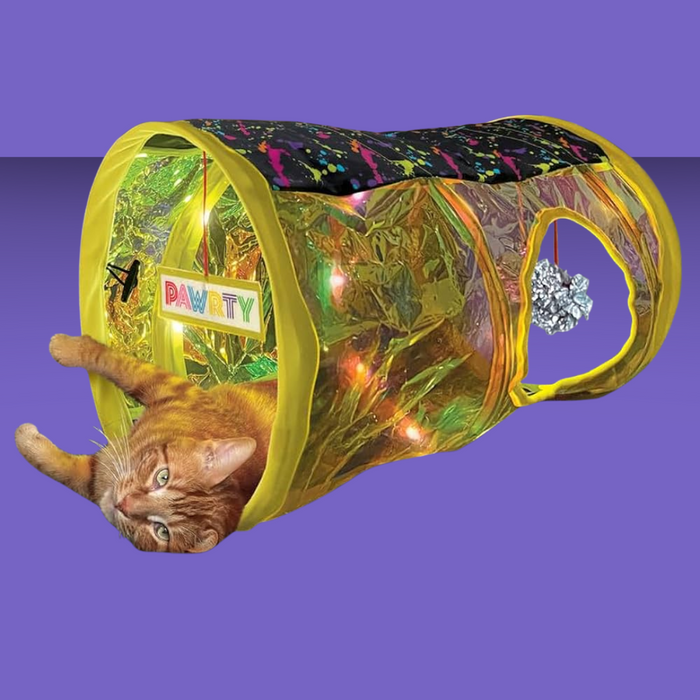 Kong Cat Play Spaces Rave Cave