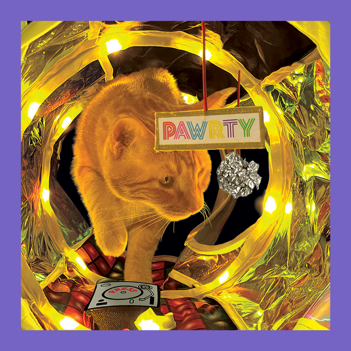Kong Cat Play Spaces Rave Cave