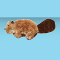 Kong Dr. Noyz Beaver S
