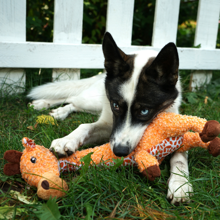 Kong Shakers Luvs Giraffe L