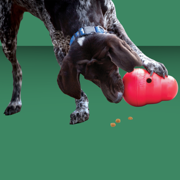 Kong Wobbler Small