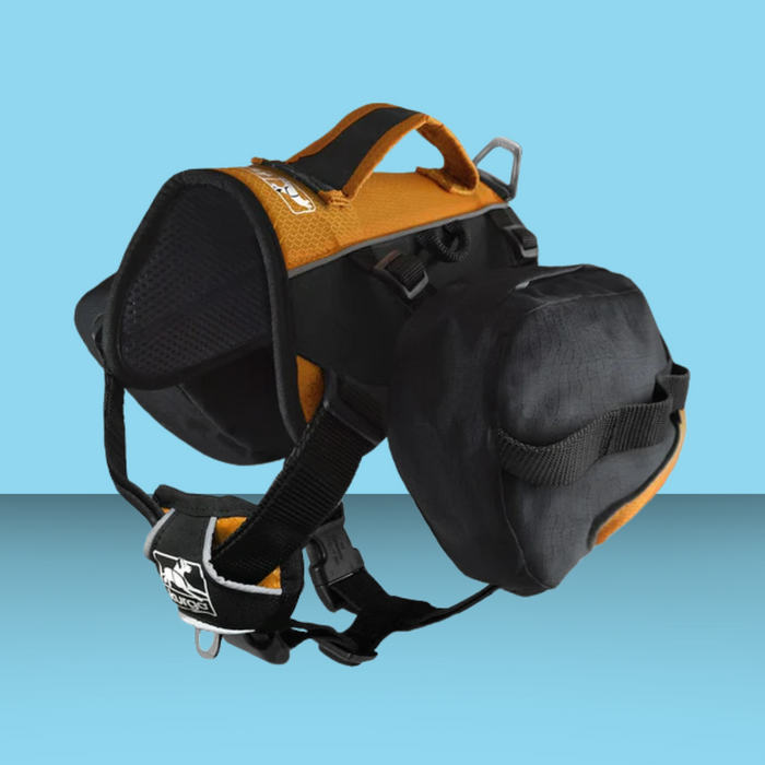 Kurgo Baxter Backpack Black & Orange