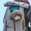 Kurgo K9 Rucksack Heather Grey
