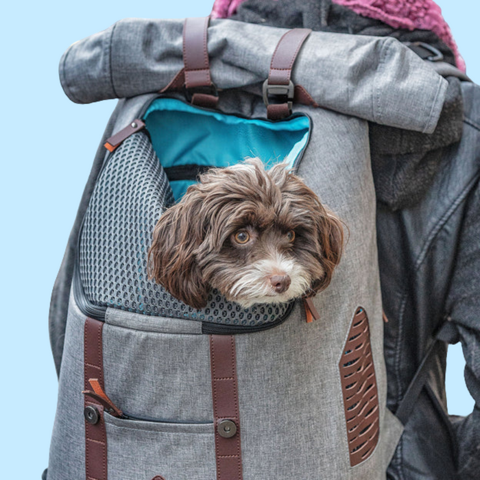 Kurgo K9 Rucksack Heather Grey