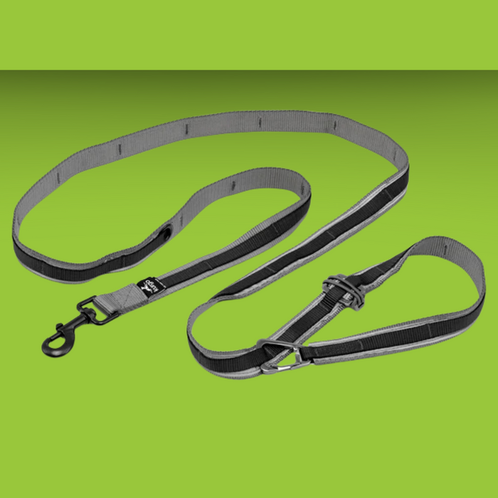 Kurgo Quantum Lead Black