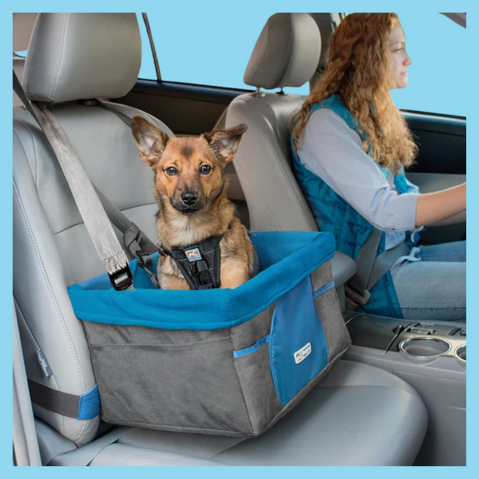 Kurgo Rover Booster Seat Heather