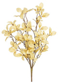 Leaf Bush
