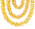 Lei Ers
