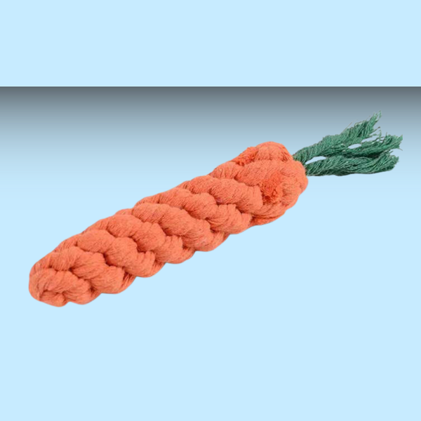 Lime Dog Cotton Rope Carrot Toy