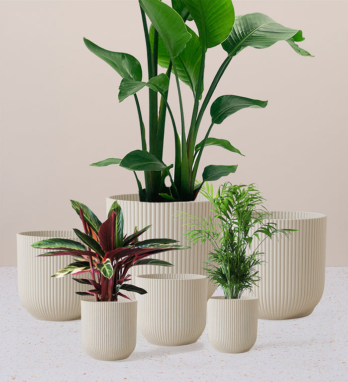 Linen White Elho Vibes Pot (14cm)