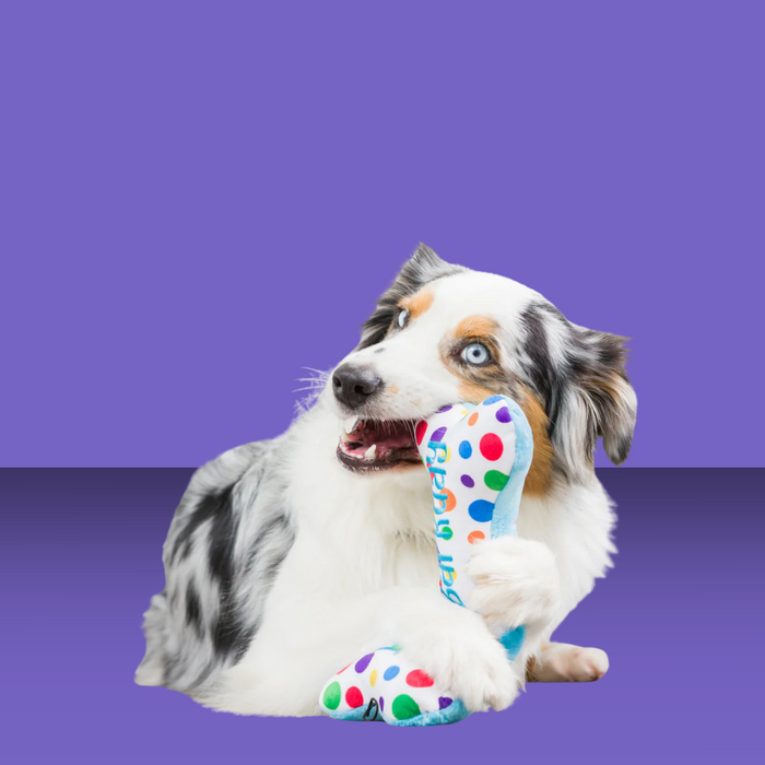 Lulubelles Power Plush It's My Barkday Bone S