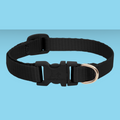 Lupine 1" Collar Black 12-20"