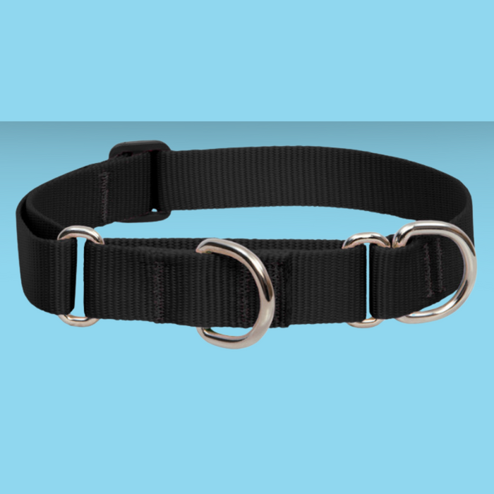 Lupine 1" Combo Black 15-22"