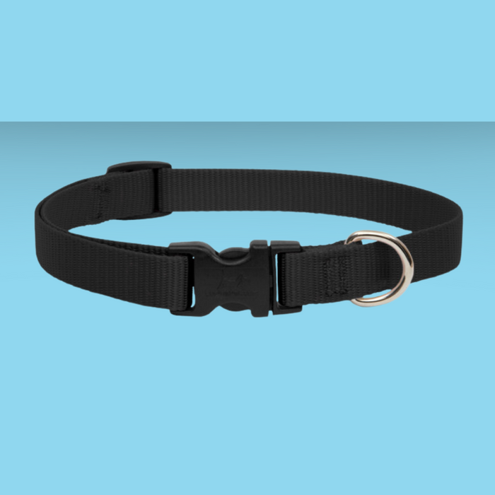 Lupine 1/2" Collar Black 8-12"
