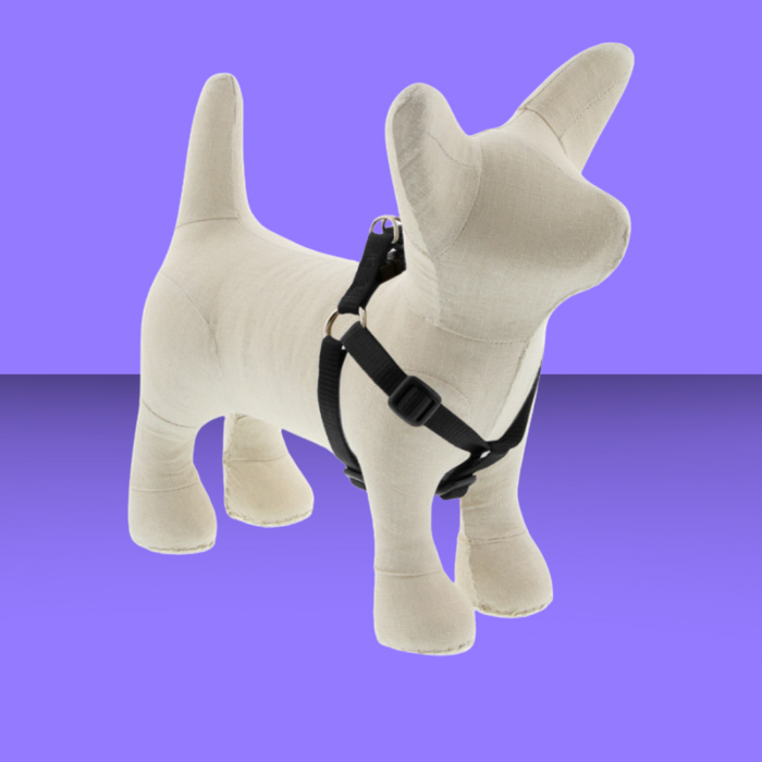 Lupine 1/2" Step In Black 12-18"