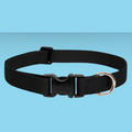 Lupine 3/4" Collar Black 13-22"