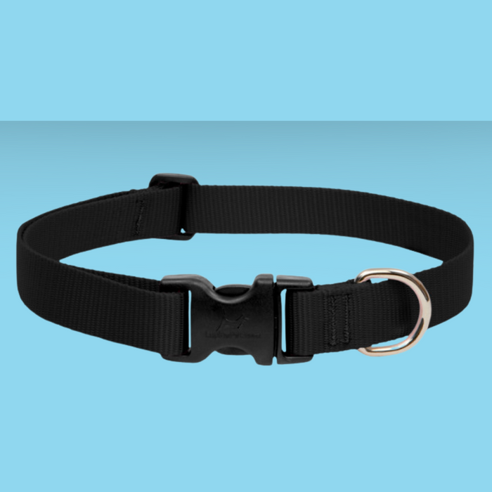 Lupine 3/4" Collar Black 9-14"