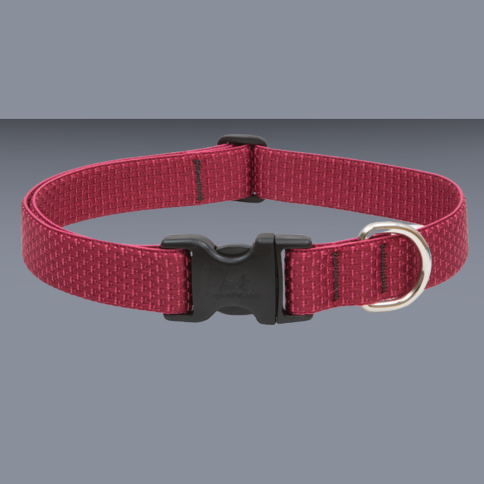 Lupine Eco 1" Collar Berry 12-20"