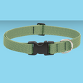 Lupine Eco 1" Collar Moss 16-28"