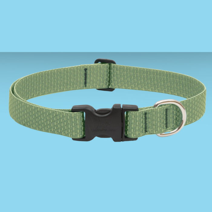 Lupine Eco 1" Collar Moss 16-28"