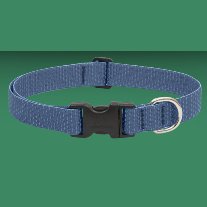 Lupine Eco 1" Collar Mountain Lake 16-28"