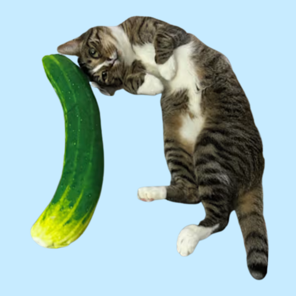 Meowijuana Get Kickin Spicy Pickle Kicker