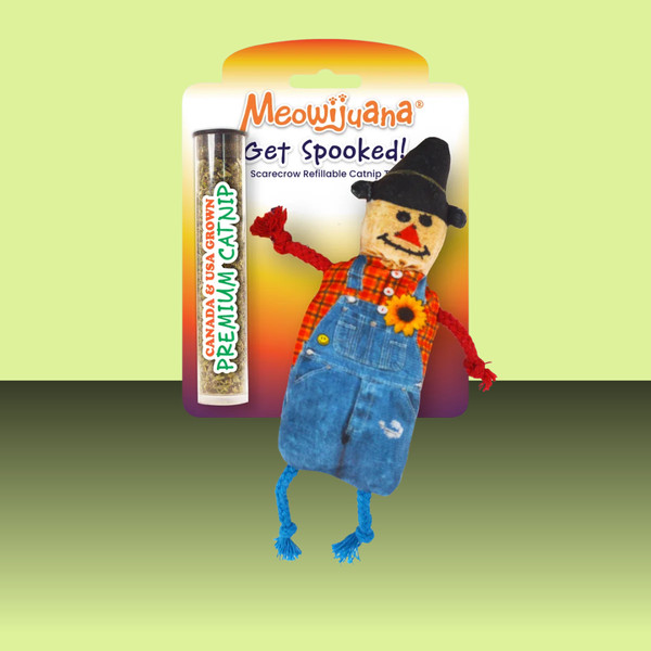 Meowijuana Get Spooked Catnip Scarecrow