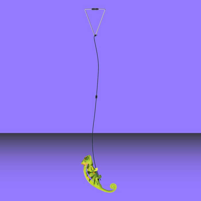 Meowijuana Jump N Jamb Chameleon