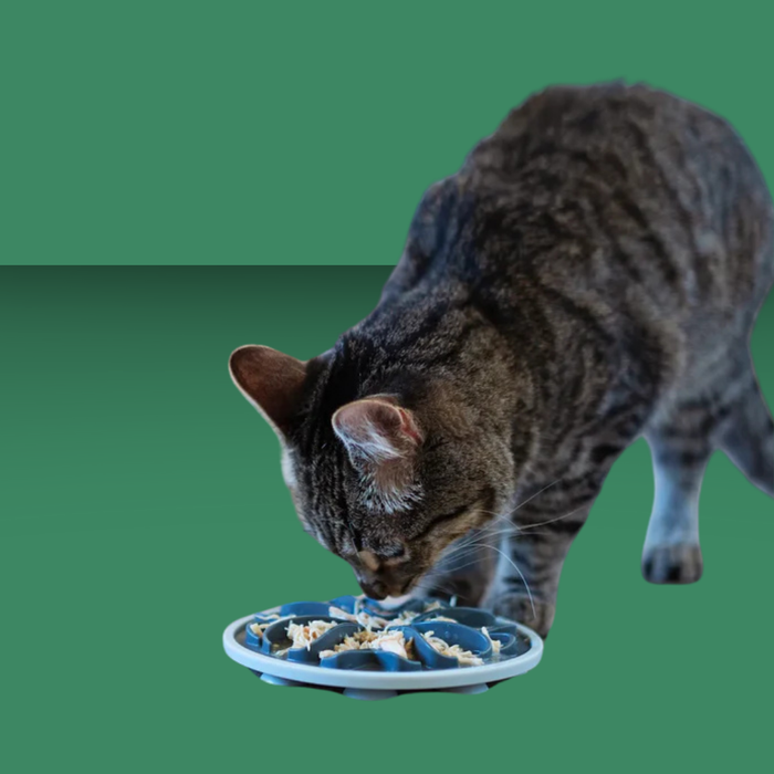 Messy Cats Interactive Feeder Gray 6"