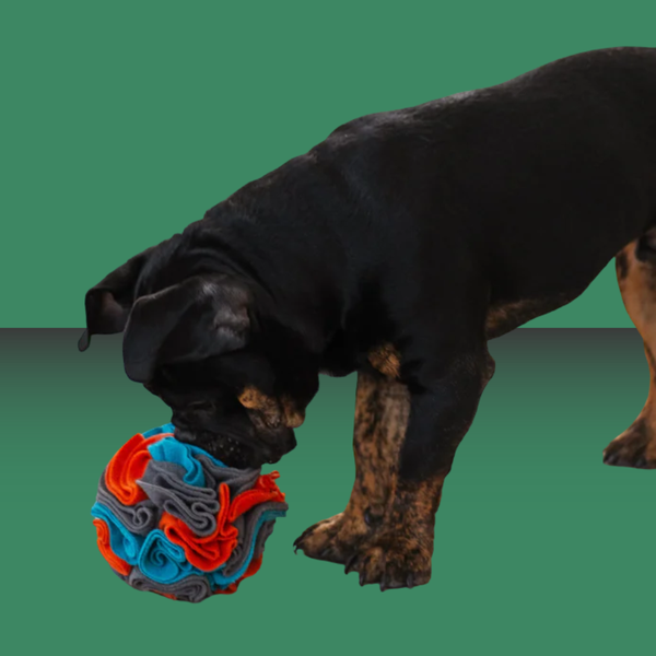 Messy Mutt Forage Ball Large