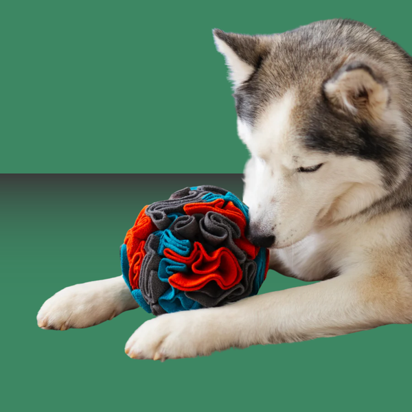 Messy Mutt Forage Ball Large