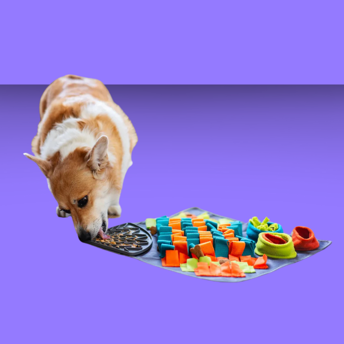 Messy Mutt Forage Lick Mat Square 16" N
