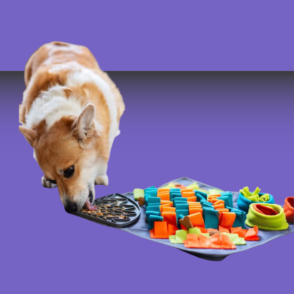 Messy Mutt Forage Mat Square Small