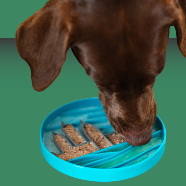 Messy Mutts Interactive Lick Bowl Blue City